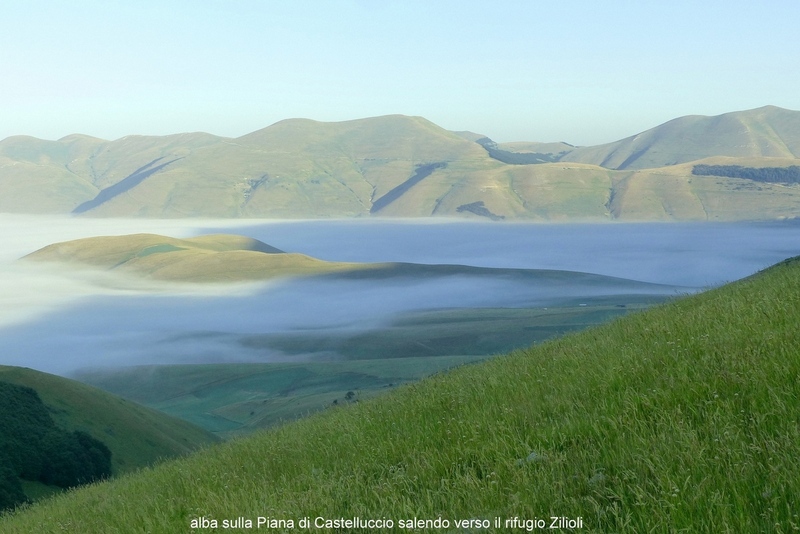 Orchidee e fiori del Monte Vettore e del Lago di Pilato � 26 giugno 2025.